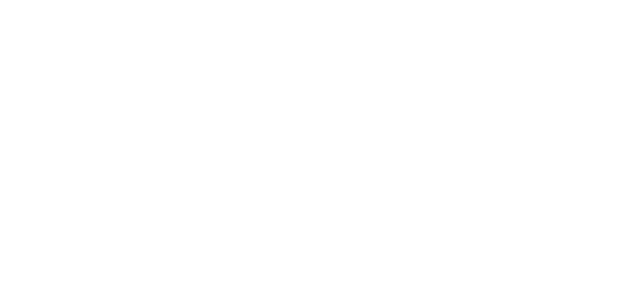 Nur Vega Logo