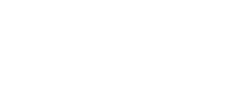 Nur Vega Logo